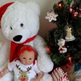 Christmas 2016 Show entry:  Rose (R.D)