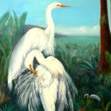 Great White Egrets