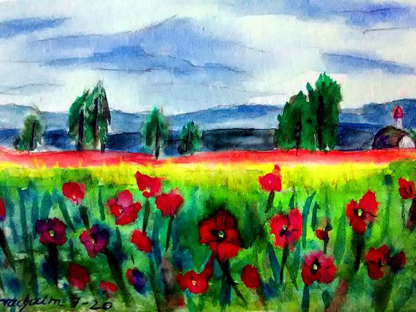 Poppy Field