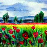 Poppy Field