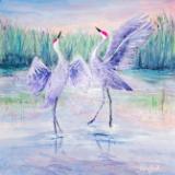 Morning Dance