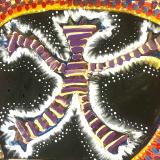 Jose Romero abstract painter, artist