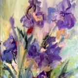 Blue and purple irises