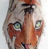 Tigerbudd