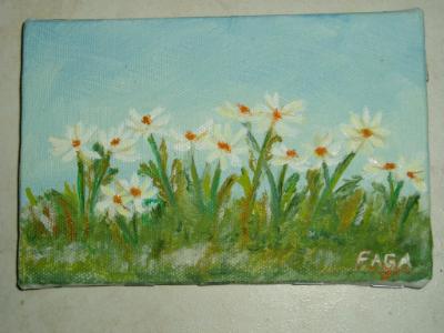 dasies dasies