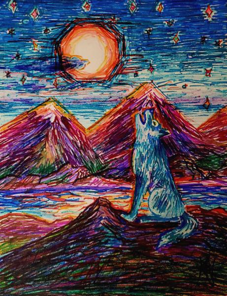 Night of the Super Moon 