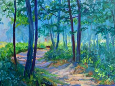 Illinois Beach State Park: Black Oak Woodland Illinois Beach State Park: Black Oak Woodland