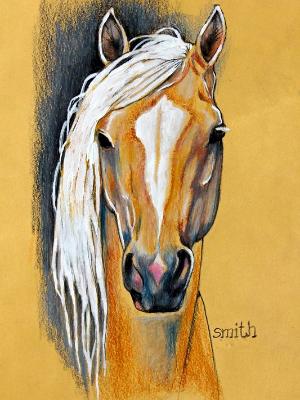 Lady Palomino Lady Palomino