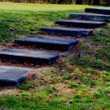 stairs to check in