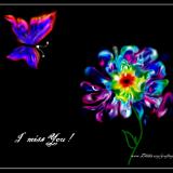 I miss You