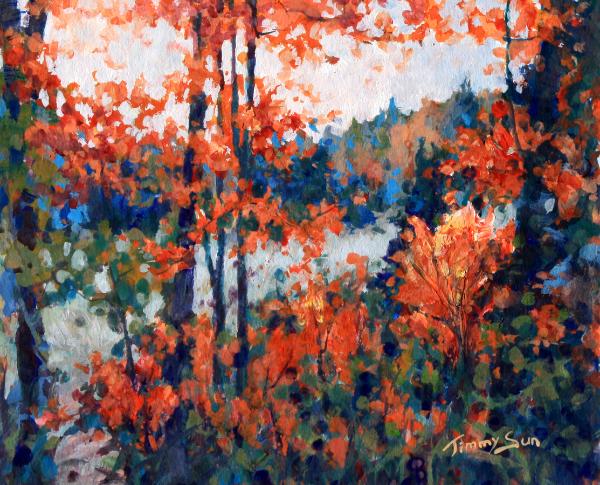 The forest's brilliance