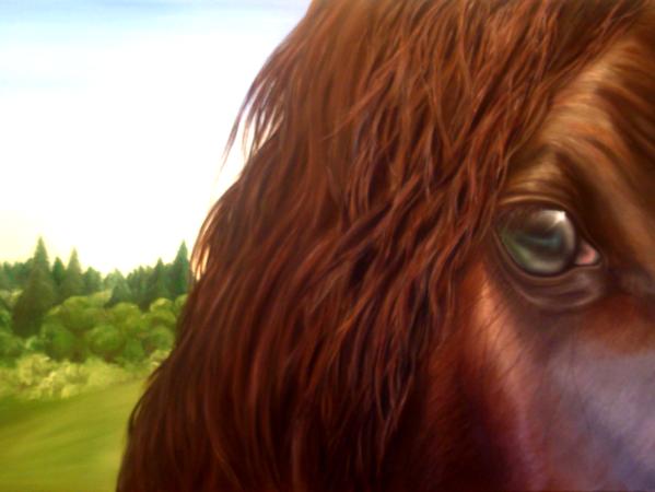 Horse head