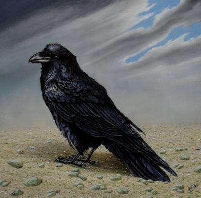 Raven Raven