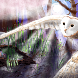 Simbaline, Great White Owl