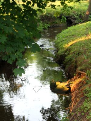 Stream of Reflections