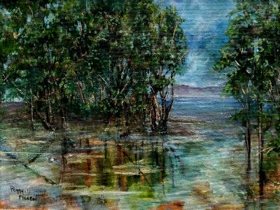 Skagit Inlet in Mount Vernon