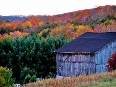 Hockley Valley, Ontario. Fall colors.