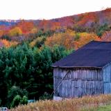 Hockley Valley, Ontario. Fall colors.