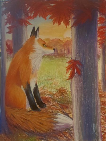 Fox under Silver Maple Trees
