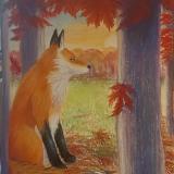 Fox under Silver Maple Trees