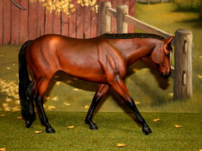 New! Western Pleasure Mare