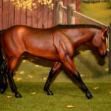 New! Western Pleasure Mare