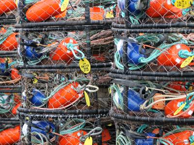 Westport Crabpots Westport Crabpots