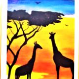 African Giraffes