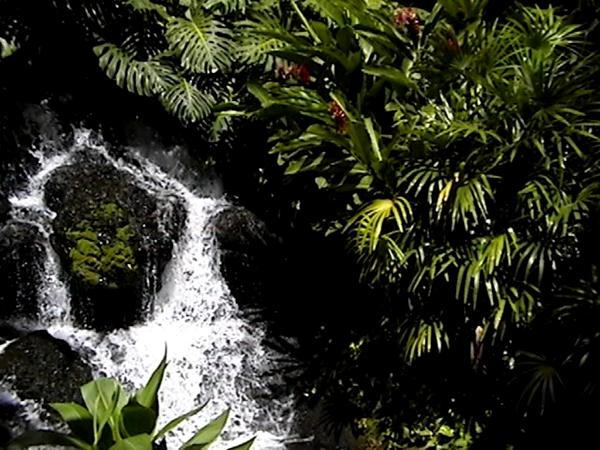 Stream Of Consciousness