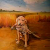 First Quail