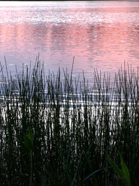 White Horse Lake Reflection