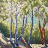 Nettle trees