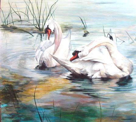 Evening Preening