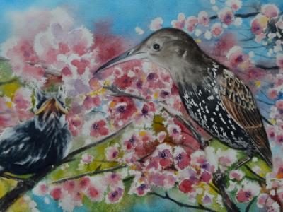 Custom portrait of a bird, 38cm x 56cm, 2019 Custom portrait of a bird, 38cm x 56cm, 2019
