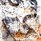 David Hockney2