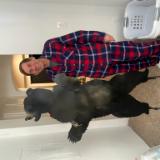 CUSTOM METAL ART IN CENTRAL OREGON