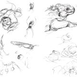 Galapagos sketches 15