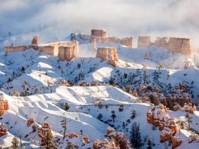 Hoodoos in Fog and Snow Hoodoos in Fog and Snow