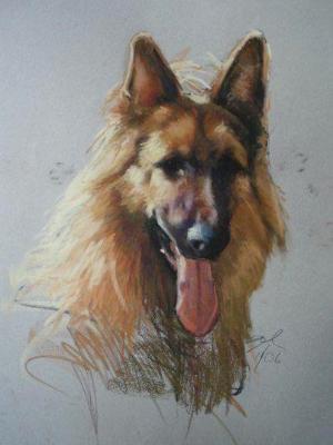 Ricky 16x20" pastel Ricky 16x20" pastel