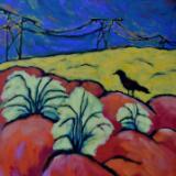 Yuma Crow