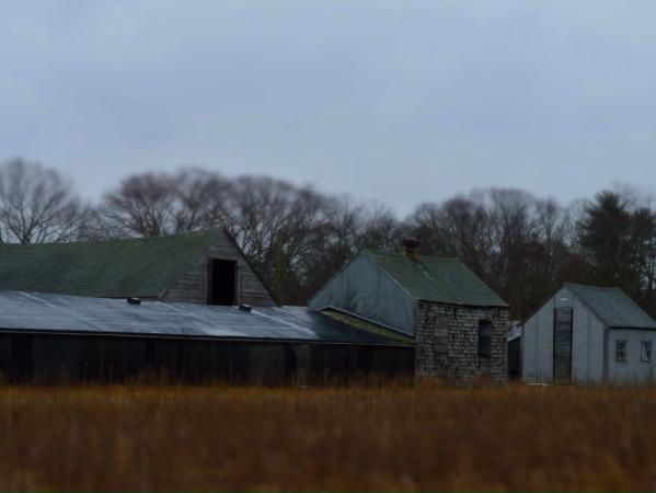 At the Farm
