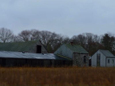 At the Farm