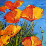 Poppies SOLD