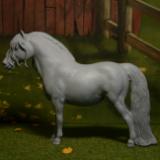 Breyer  Custom - Shetland Pony