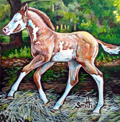 Frolicking Foal Frolicking Foal