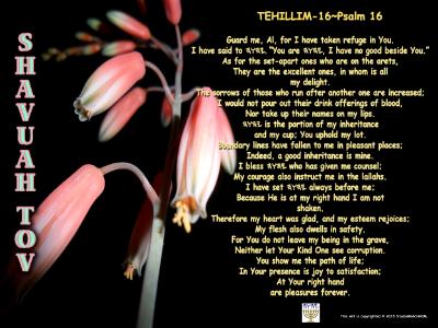 Ps 16~Shavuah Tov~Good week! Ps 16~Shavuah Tov~Good week!