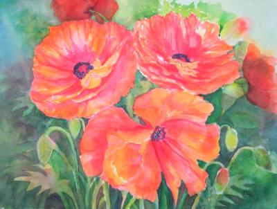 Joan's Poppies