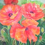 Joan's Poppies