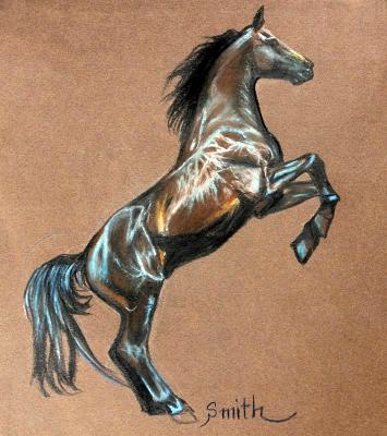 Black Stallion Black Stallion