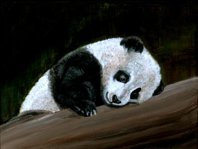 Panda Panda
